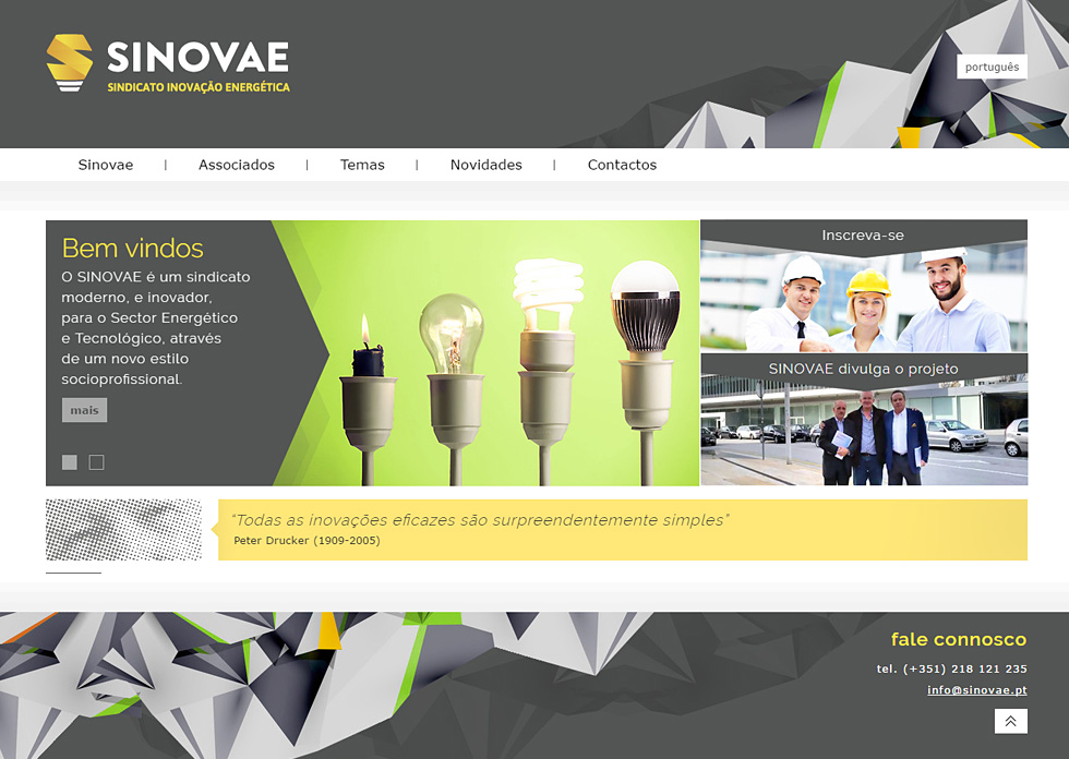 SINOVAE Website
